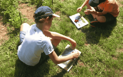 L&rsquo;activité Parent-Enfant (Festival Nourrir Autrement 2026)