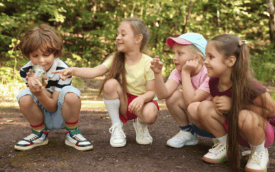 Stage 2025 – Activités créatives et nature à La Framboiserie